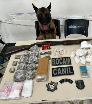 Polícia apreende grande quantidade de drogas no bairro Canafístula, em Arapiraca