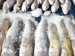 Aprenda a escolher peixes e frutos do mar para a Sexta-feira Santa