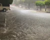 Chuvas provocam alagamentos, arrastam carro e deixam ponte sob risco em Delmiro Gouveia