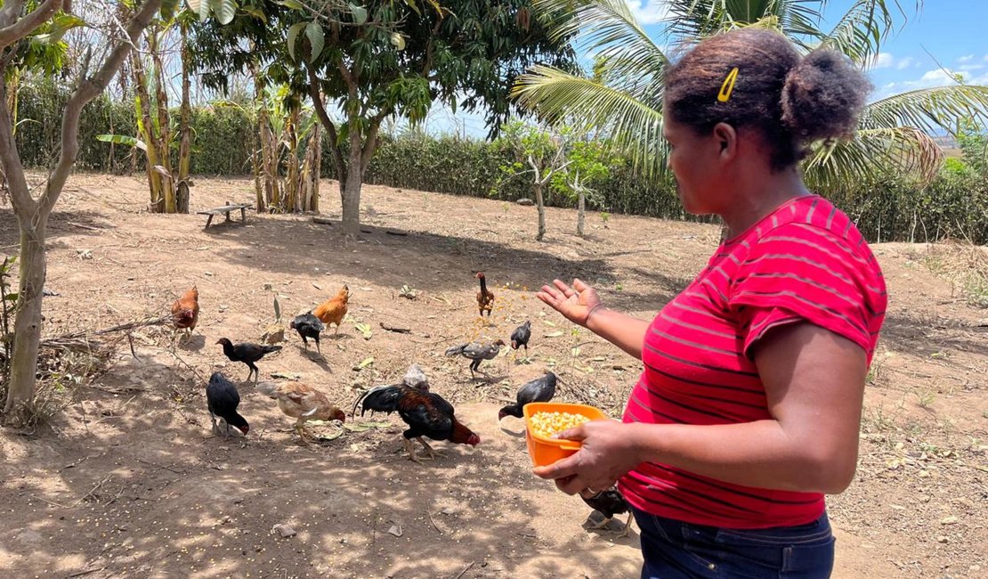 Há 13 anos, Emater atua dando assistência e desenvolvendo agricultura familiar em Alagoas