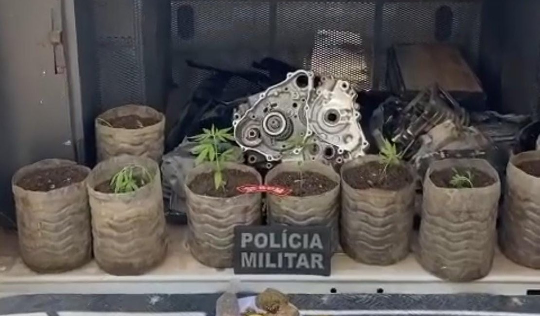 Polícia apreende maconha e peças de moto em residência na cidade de Junqueiro