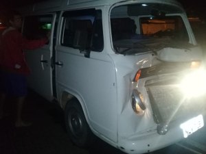 Acidente entre animal e veículo é registrado na rodovia AL 220, em Arapiraca 