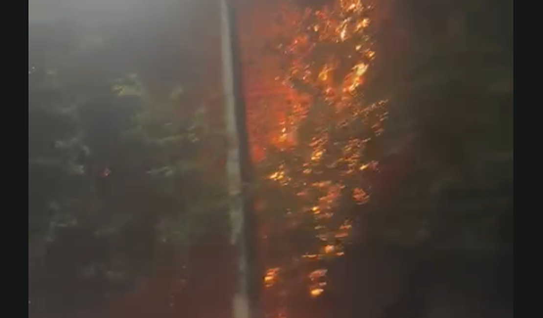 Incêndio em vegetação mobiliza Corpo de Bombeiros na Avenida Governador Afrânio Lages, em Maceió