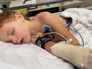 Criança é salva por avó após ser picada por uma das cobras mais venenosas do mundo