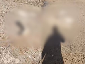 Populares encontram partes de corpo esquartejado em zona rural de São Luís do Quitunde