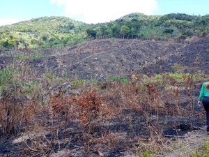 IMA alerta população sobre riscos de queimadas durante período seco e de baixa umidade em AL