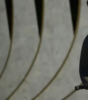 Terras indígenas: STF tem placar de 4 votos a 0 contra marco temporal