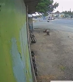 Motorista atropela duas pessoas em faixa de pedestres, em Marechal Deodoro