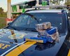 PRF prende homem com 12kg de maconha dentro de ônibus em São Sebastião