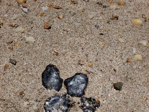Manchas de óleo são encontradas na Praia do Toque, em São Miguel dos Milagres