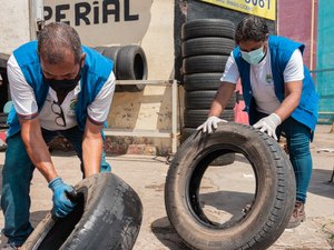 Mutirão de combate à dengue em Maceió começa na próxima semana