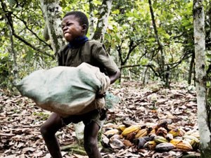 Recursos para ações de combate ao trabalho escravo estão prestes a acabar 