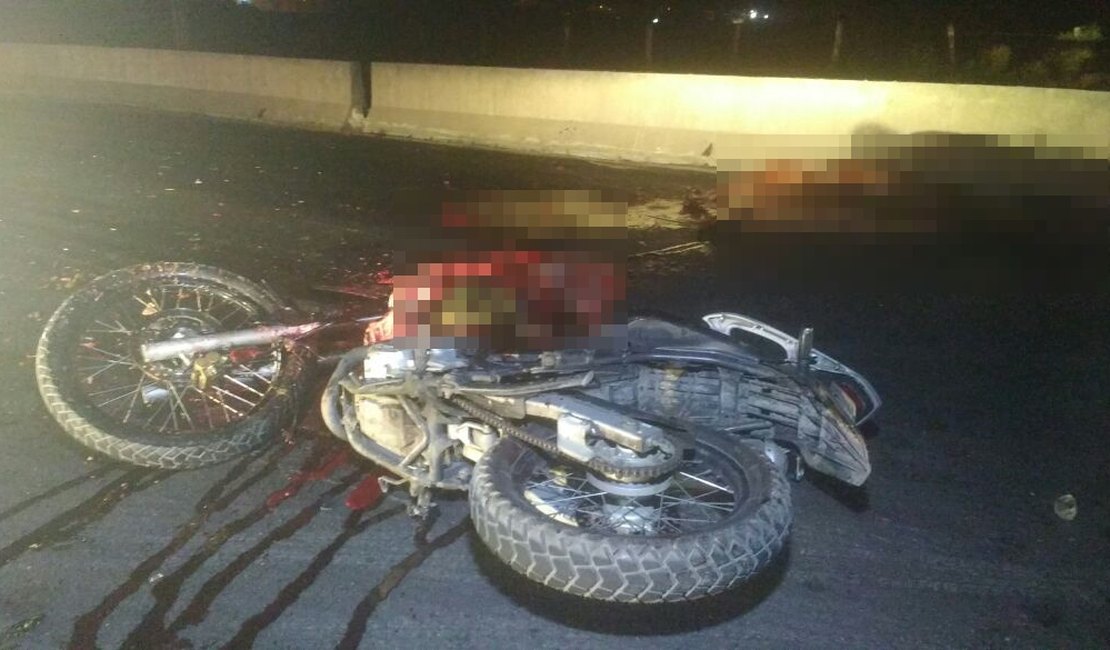 Motociclista fica ferido após colidir com animal que atravessava rodovia