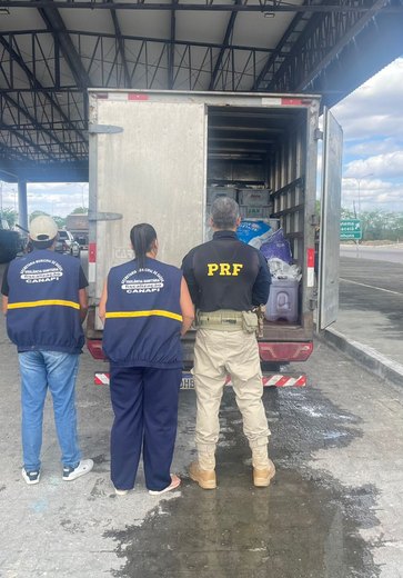 ﻿PRF apreende 900 kg de pescado transportado sem refrigeração e contaminado com óleo no Sertão de AL