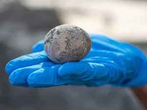 Arqueólogos quebram sem querer raro ovo de mil anos achado em Israel