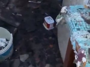 Homem recusa socorro e cachorro morre queimado em incêndio na Chã de Jaqueira