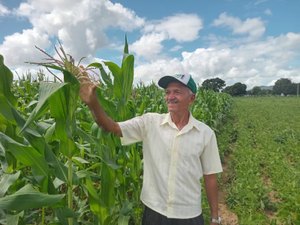 [Vídeo] Agricultores familiares de Igaci se preparam para colheita de grãos após Programa de Aração de Terras