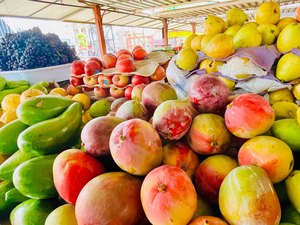 Alimentação saudável no Carnaval ajuda a prevenir problemas de saúde, alerta nutricionista