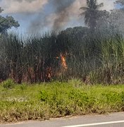 Incêndio em canavial chega perto de residências em Porto Calvo