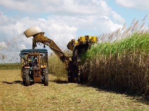 Fetag-AL e comissão patronal acordam reajuste de 10,38%
