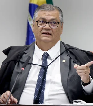 Dino derruba decisão de Mendonça e libera posts sobre Nossa Senhora