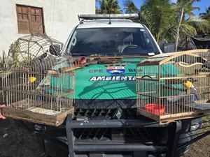 PM apreende armas e resgata animais durante fiscalização ambiental em Piaçabuçu