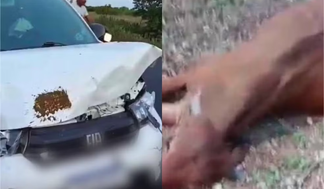Filho do cantor Neto Araújo sofre acidente a caminho do velório do pai
