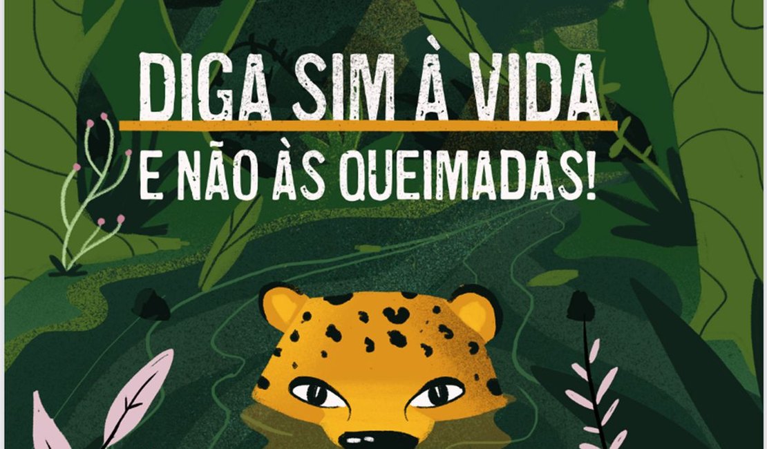 Cartilha é lançada para conscientizar alunos da Amazônia sobre queimadas