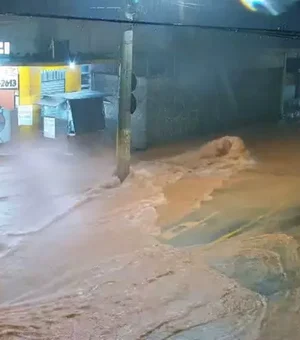 Chuva deixa ao menos 14 mortos e 440 desabrigados em Juiz de Fora