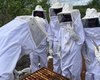Centro Xingó conclui capacitação técnica em apicultura para alunos do Ifal em Piranhas