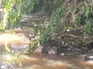 Paciente psiquiátrico é achado morto em rio de Coité do Nóia