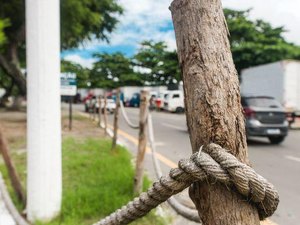 Espaços revitalizados em Maceió sofrem danos por ações de vandalismo
