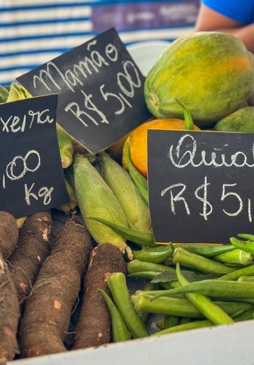 Feira da Agricultura Familiar em Murici terá participação de produtores de oito municípios