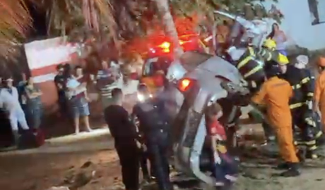 Motorista sobrevive a grave acidente após colidir com coqueiro na AL-220, em Arapiraca
