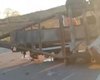 Reboque se desprende de caminhonete e bloqueia BR-423 em Delmiro