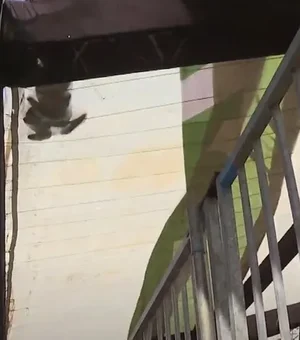 MPT notifica Prefeitura de Maceió após morte de trabalhador em estrutura do São João