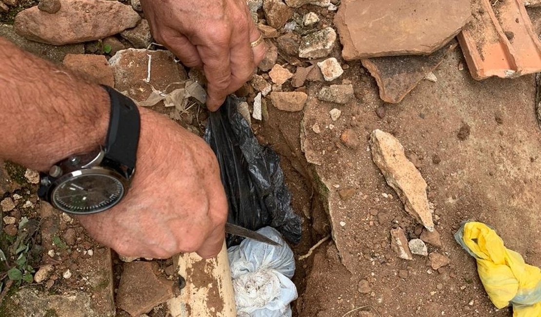 Policia encontra maconha e crack enterrados no quintal de casa no Benedito Bentes