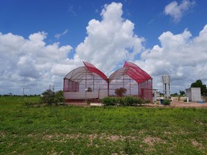 Projeto desenvolvido no Polo Tecnológico Agroalimentar de Arapiraca recebe selo da ONU