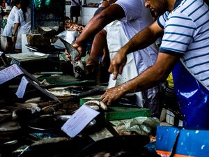 Dossiê digital e mesa-redonda sobre fotografia alagoana na Bienal
