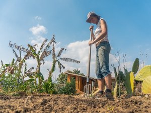 Mulheres agricultoras de Penedo são orientadas sobre programa de fomento às atividades produtivas rurais