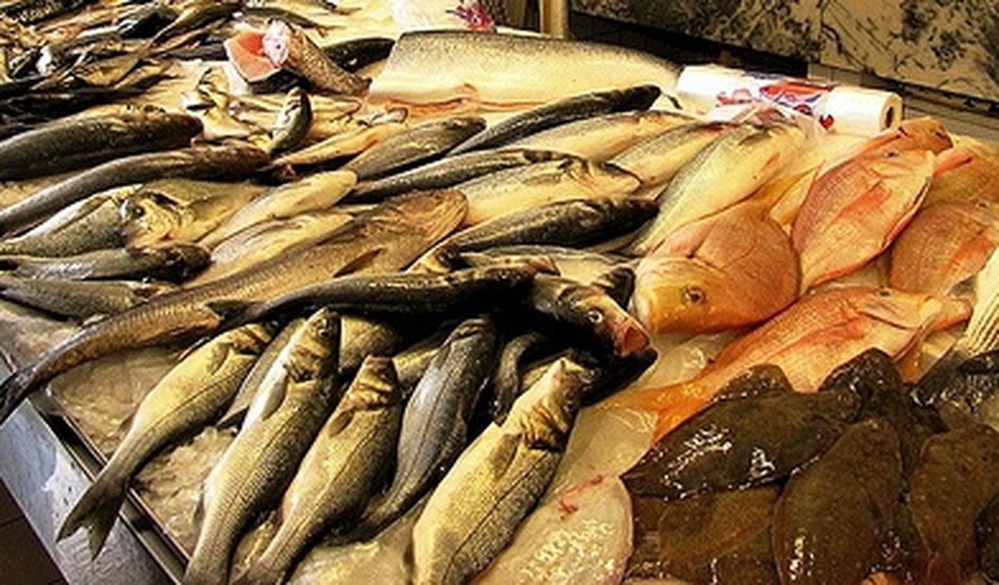 Procon Arapiraca orienta consumidores para compras do pescado
