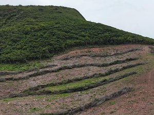 Ação coordenada resulta na prisão do maior desmatador da Caatinga em Alagoas