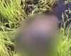 Corpo é encontrado enrolado em lona e submerso em lago na zona rural de Porto Real do Colégio