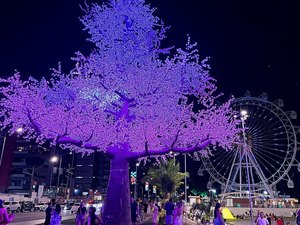 Iluminação de Natal no Parque Massay-ó-k encanta maceioenses e turistas