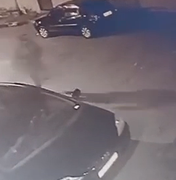 [Vídeo] Suspeito de homicídio ocorrido durante Carnaval em Lagoa da Canoa é capturado