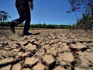 Portaria reconhece situação de emergência em 67 municípios alagoanos