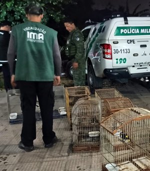 Fiscalização Preventiva Integrada resgata 34 aves silvestres em Arapiraca