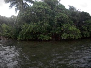 Corpo de homem é encontrado boiando na Lagoa Mundaú com perfurações de tiros e facadas