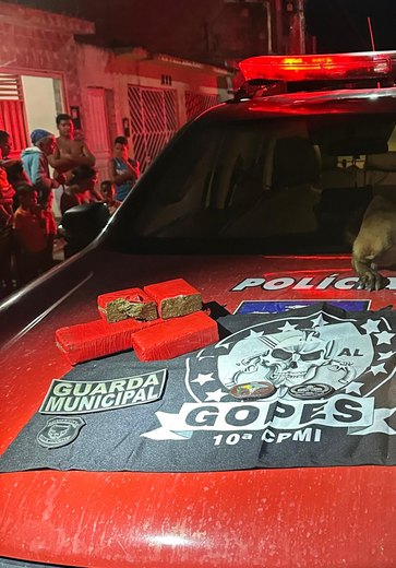 Chefe de facção criminosa é preso com mais de 2kg de drogas em Campo Alegre