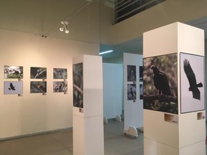 Mostra fotográfica destaca as belezas do céu alagoano